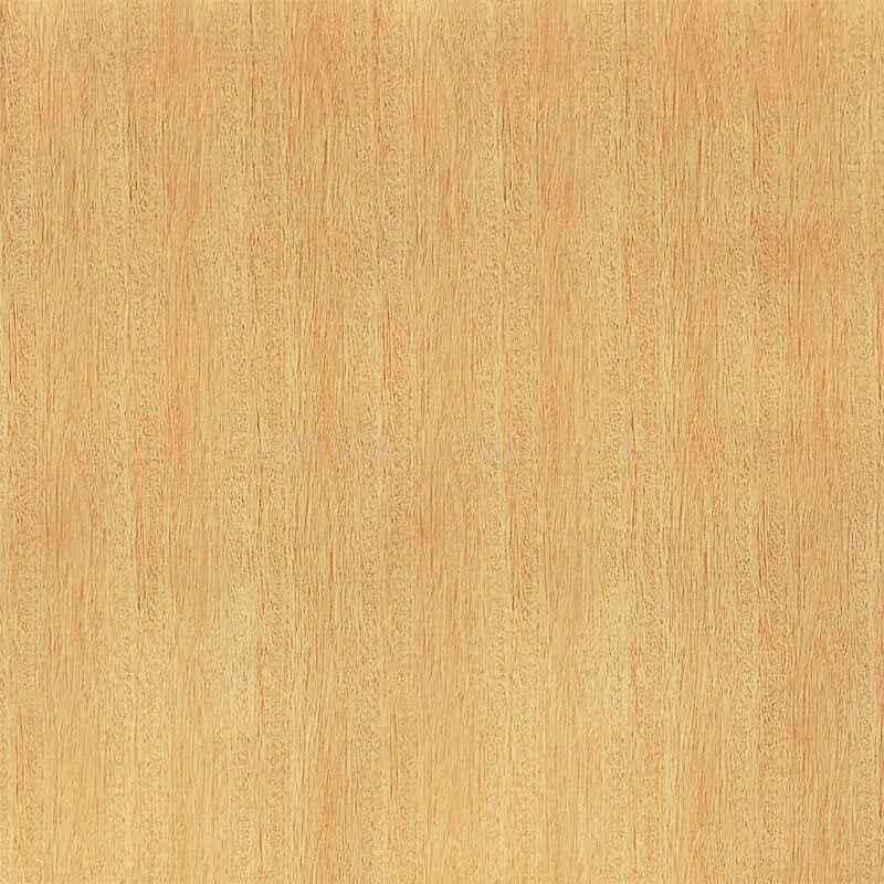 116 臺(tái)灣紅竹