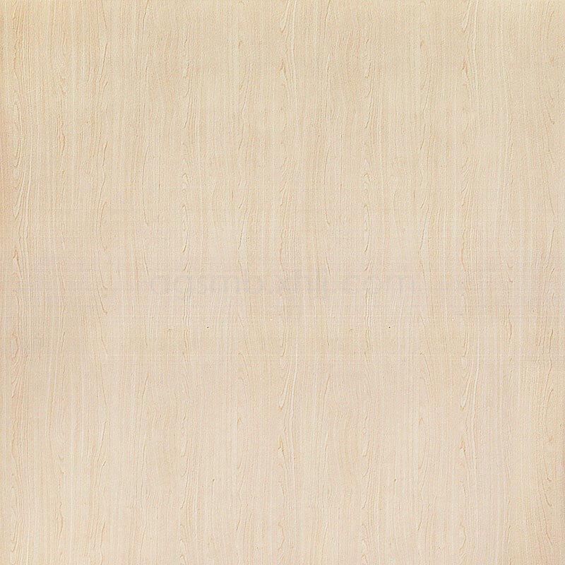 077 意風(fēng)楓木